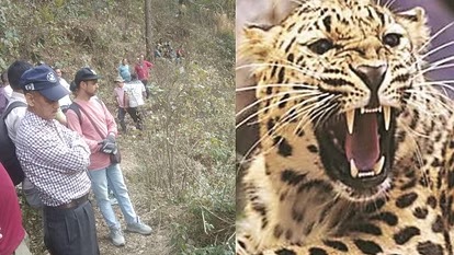 रुद्रप्रयाग: गुलदार ने युवक पर हमला कर बनाया निवाला,झाड़ियों में मिला युवक का शव, एक पैर और सिर गायब
