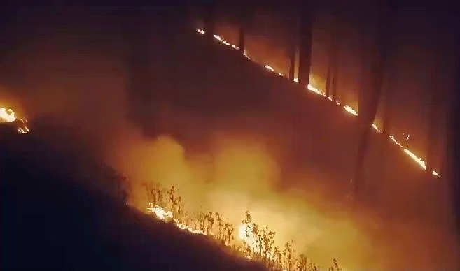 उत्तराखंड में जंगल की आग से आफत, 47 जगह फिर धधके जंगल,अब तक 227 लोगों के खिलाफ मुकदमा दर्ज