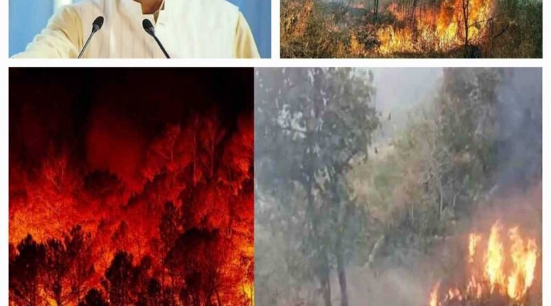 उत्तराखंड के जंगलों में आग से हाहाकार, वनाग्नि नियंत्रण के मामले में मुख्यमंत्री धामी देखे शक्त, अधिकारियों को लगाई फटकार
