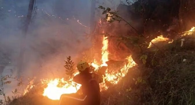 नशे में जला दिया जंगल,पुलिस और वन विभाग की टीमों ने दस लोगों को किया गिरफ्तार,शादी समारोह छोड़ आग बुझाने में जुटे लोग