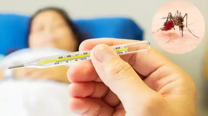 सावधान, डेंगू पसारने लगा पांव, दून अस्पताल में भर्ती महिला मरीज की एनएस1 एलाइजा रिपोर्ट आयी पॉजिटिव