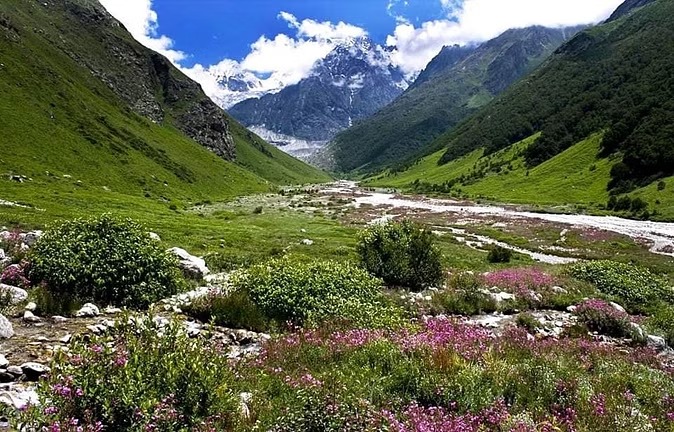 एक माह में फूलों की घाटी पहुंचे साढ़े तीन हजार पर्यटक, पिछले साल की तुलना में बढ़ी संख्या