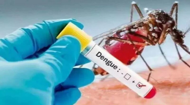 देहरादून में डेंगू के मामले में रायपुर ब्लॉक बना हॉटस्पॉट, अब तक 443 जगह मिला डेंगू का लार्वा