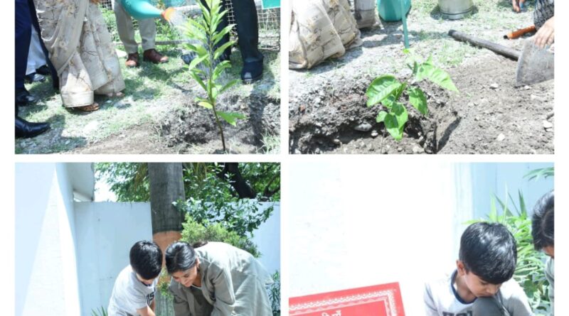 एक पेड़ माँ के नाम के तहत आयोजित कार्यक्रम में उत्तराखंड के राज्यपाल लेफ्टिनेंट जनरल गुरमीत सिंह और बाल विकास मंत्री रेखा आर्या ने की शिरकत, सभी से पेड़ों को बचाने का किया आह्वान