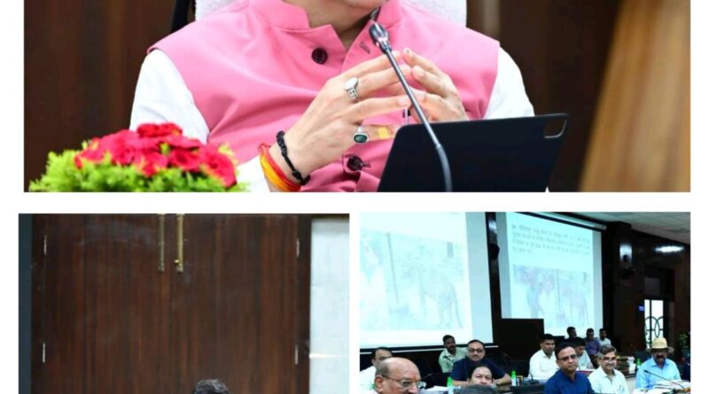 मुख्यमंत्री धामी ने उत्तराखंड राज्य वन्य जीव बोर्ड की ली बैठक, मानव वन्यजीव संघर्ष को कम करने के लिए वन विभाग को प्रभावी प्रयास के दिये निर्देश 